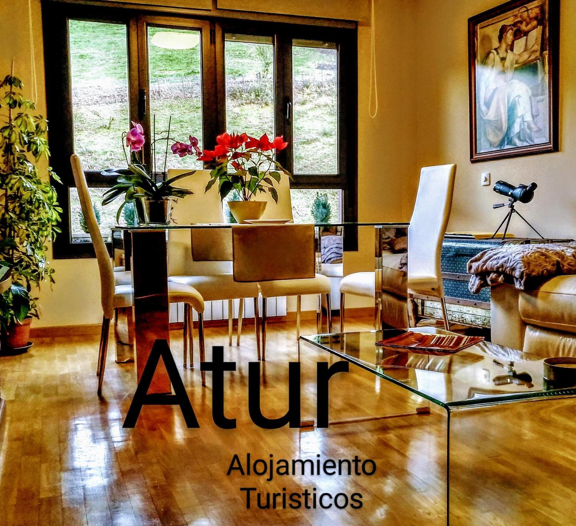 Atur Apartment Cangas de Onis Exterior photo